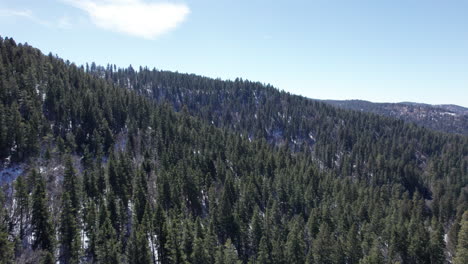 Empuje-Aéreo-En-Una-Ladera-Cubierta-De-Pinos-En-Nuevo-México