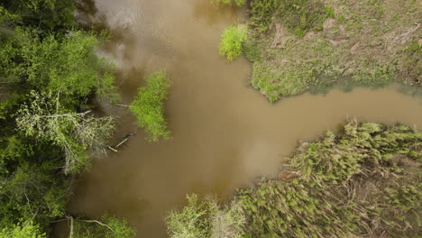 Tranquil-shot-of-Wolf-River-slough-in-the-Clark-Conservation-Natural-Area