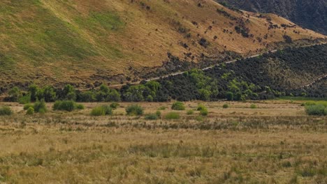 Eine-Herde-Enten-Schwebt-In-Den-Rahmen-über-Feuchtgebieten-In-Der-Region-Otago-In-Neuseeland