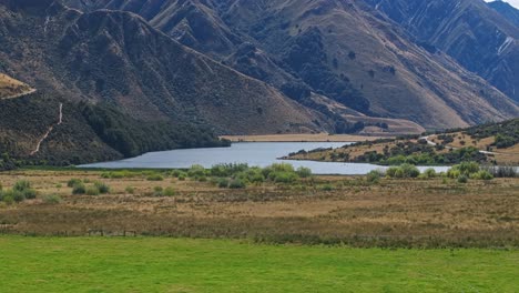 Vögel-Schweben-über-Weiden,-Die-An-Feuchtgebiete-In-Queenstown,-Neuseeland-Grenzen