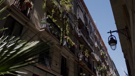 Vista-Soleada-De-La-Calle-Barcelona-Con-Balcones-Tradicionales-Adornados-Con-Flores-Vibrantes