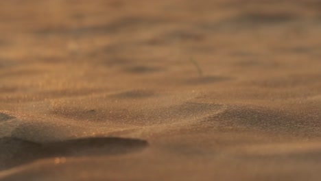 Kleine-Sandkörner,-Die-In-Zeitlupe-über-Miniaturdünen-Wehen