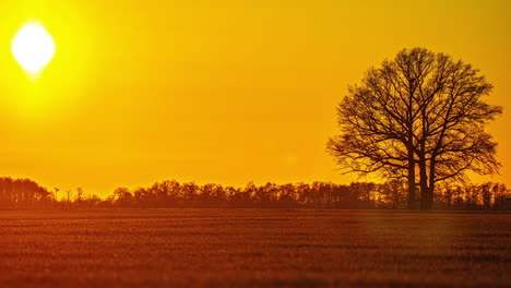 Lapso-De-Tiempo-Otoñal-Paisaje-Puesta-De-Sol-Vibraciones-En-Campos-Agrícolas-Sin-Gente-Fondo-De-Cielo-Dorado