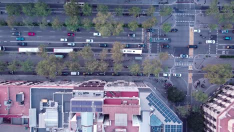 Intersección-Concurrida-De-Barcelona-Con-Coches-Y-Autobuses,-Filmada-Al-Atardecer,-Vista-Aérea