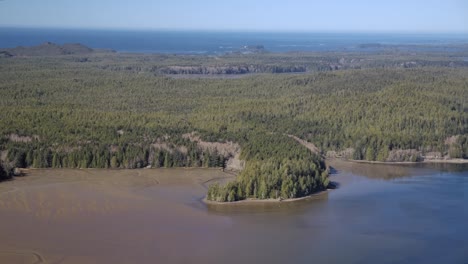 Forested-Pacific-Northwest-Ocean-Coastline---Sunny-Day-Aerial
