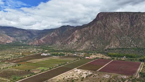 Hiperlapso-De-Montañas-En-Cafayate,-Vista-Aérea-De-Viñedos-En-La-Provincia-De-Salta,-Argentina