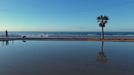 Vista-Estática-Del-Hombre-Caminando-Por-El-Paseo-Marítimo-Con-Su-Perro.