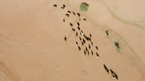 República-De-Namibia-En-El-Sur-De-áfrica