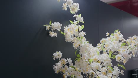 Elegante-Weiße-Künstliche-Kirschblüten-Im-Kontrast-Zu-Einem-Eleganten-Schwarzen-Hintergrund