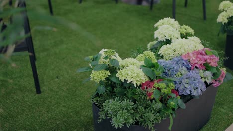 Lush-hydrangea-blooms-in-a-modern-black-vase-against-a-soft-artificial-lawn