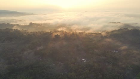 Niebla-Que-Cuelga-Sobre-Los-árboles-En-Un-Brumoso-Paisaje-Indonesio