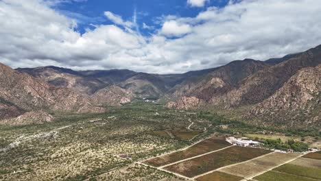 Vista-Aérea-De-Viñedos-De-La-Variedad-De-Uva-Torrontés-En-La-Provincia-De-Salta,-Argentina.