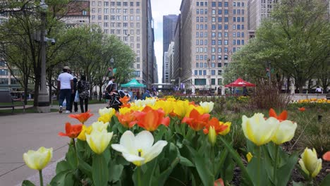 Gente-Caminando-En-El-Parque-De-La-Ciudad-Con-Coloridos-Tulipanes