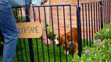 general-shot-of-man-adopting-dog