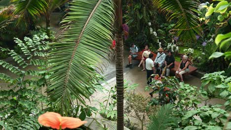 People-sit-in-the-seating-areas-surrounded-by-lush-foliages,-immersed-in-the-magical-environment-of-Cloud-Forest-greenhouse-conservatory,-indoor-greenery-at-Gardens-by-the-bay,-Singapore