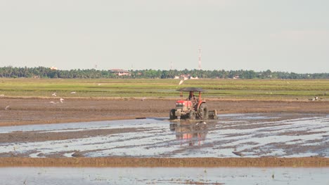 Un-Granjero-De-Sri-Lanka-Prepara-Tierras-De-Arroz-Al-Atardecer-Con-Un-Tractor-Rojo-Mientras-Los-Pájaros-Vuelan-En-Busca-De-Insectos.