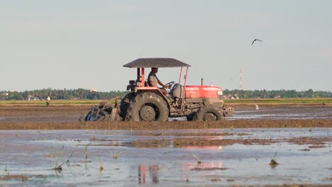 Ein-Sri-lankischer-Bauer-Bereitet-Bei-Sonnenuntergang-Mit-Einem-Roten-Traktor-Sein-Reisfeld-Vor,-Während-Vögel-Nach-Insekten-Suchen