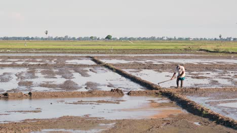 Cautivadora-Escena-De-Un-Granjero-De-Sri-Lanka-Dando-Forma-Meticulosamente-A-Los-Campos-De-Arroz-Con-Herramientas-De-Arena-Al-Atardecer,-Acompañado-Por-Una-Gran-Cantidad-De-Pájaros-Dándose-Un-Festín-Con-Insectos-En-Medio-Del-Ambiente-Veraniego-De-La-Tarde