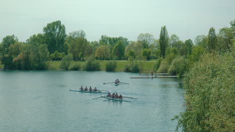 Remeros-Sincronizados-En-Las-Tranquilas-Aguas-Del-Lago-Jarun,-Zagreb,-Rodeados-De-Exuberante-Vegetación.