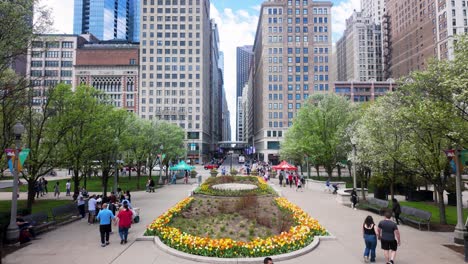 Colorido-Día-De-Primavera-En-Un-Parque-Del-Centro-De-La-Ciudad