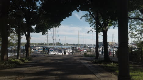 A-quick-forward-moving-shot-through-the-trees,-with-reveal-of-Toronto's-Spadina-Pier-marina-and-docked-boats