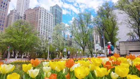 Día-De-Primavera-En-El-Parque-De-La-Ciudad-Con-Coloridos-Tulipanes-Brillantes