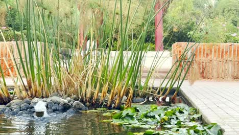 Closeup-lotus-green-leaves-in-water-pond-revealing-Plaza-Tailandia-Thai-Shrine-in-Santiago-de-Chile,-urban-green-oasis-inside-Chilean-capital-city