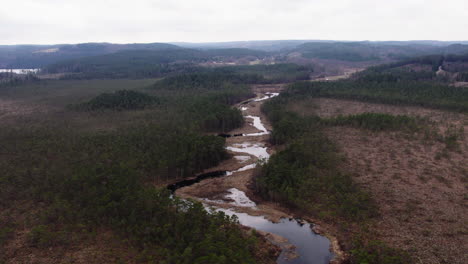Luftaufnahme-Des-Flusses-Savean,-Der-Sich-Durch-Feuchtgebiete-Und-Wälder-In-Schweden-Schlängelt