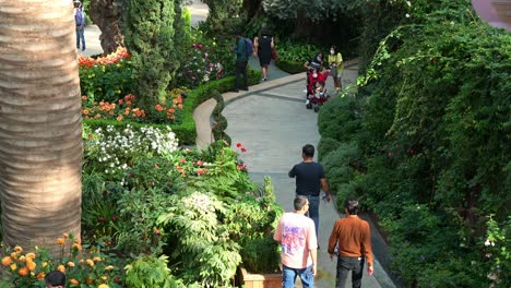 People-strolling-along-the-pathway-of-flower-field,-exploring-Singapore's-popular-tourist-attraction,-Flower-Dome-glass-greenhouse-conservatory-at-Gardens-by-the-Bay-with-seasonal-flowers-on-display