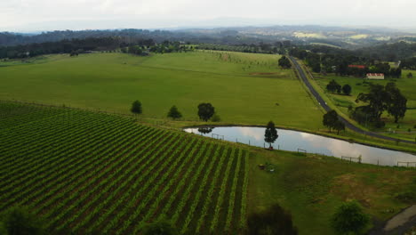 Panoramic-aerial-establishing-farmland-pastures-and-orchard-by-water-pool-in-Australia