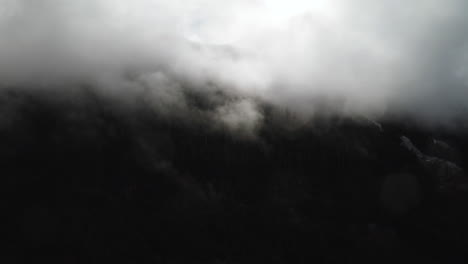Nubes-Que-Cubren-El-Bosque-De-Montaña-En-La-Península-Olímpica,-Estado-De-Washington.