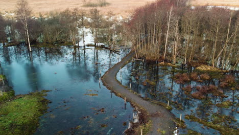 Vuelo-De-Drones-Sobre-Bosques-Pantanosos-De-Agua-Dulce-Inundados-En-Invierno