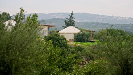 Ein-Jurtenzelt-In-Einer-Landschaft,-Umgeben-Von-Olivenbäumen