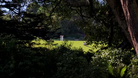 People-enjoy-park-sunlight-seen-between-two-trees-on-Mount-Cecilia-in-Auckland,-New-Zealand