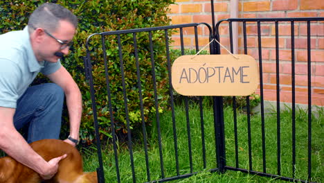 Plano-General-Del-Hombre-Adoptando-Un-Perro