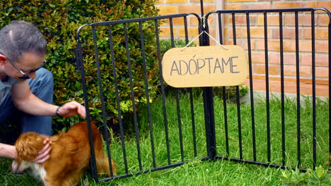 Plano-General-Del-Hombre-Adoptando-Un-Perro