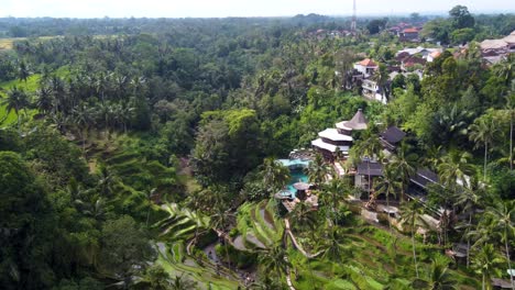 Aerial-view-of-Cretya-jungle-club-overlooking-rice-terraces-in-Alas-Harum,-Bali