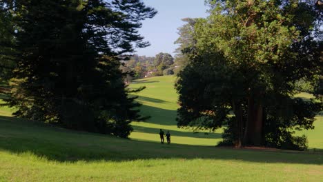 Una-Pareja-Camina-Tomados-De-La-Mano-En-Un-Entorno-De-Parque-Natural-Bajo-La-Cálida-Luz-Del-Día-En-El-Monte-Cecilia-En-Auckland,-Nueva-Zelanda