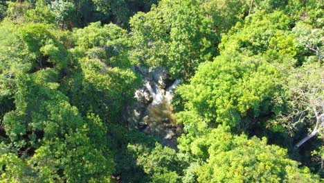 Wasserfall-Zwischen-Tiefen-Wäldern-Langsame-Luft-Wunderbare-Natur-Südamerika