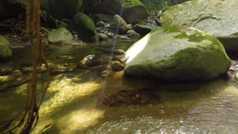 Sonnenstrahlen-über-Dem-Fluss-Mit-Moosbedeckten-Felsen-Und-Weinrebenwurzeln