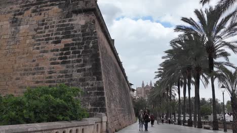 Baluard-de-Sant-Pere-Palma-de-Mallorca-promenade-with-pedestrians-and-palm-trees-with-cathedral-towers-in-the-background