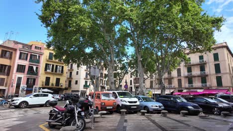Sunny-square-in-Palma-de-Mallorca-with-cars,-trees-and-old-architecture,-Spain
