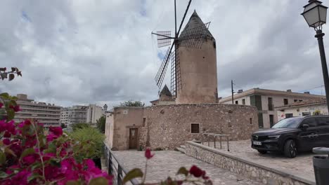Magenta-pink-flowers-of-bougainvillea-bush-next-to-the-traditional-windmill-in-urban-centre-of-Palma-de-Mallorca,-Spain-in-springtime