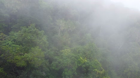 Neblig-Regnerischen-Nebel-über-Tiefgrüner-Regenwaldvegetation-In-Südamerika-Kolumbien