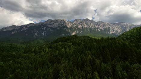 Exuberante-Bosque-Verde-Al-Pie-De-Las-Montañas-Piatra-Craiului-Bajo-Un-Cielo-Dinámico