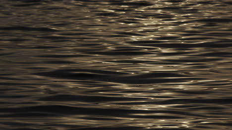 Serene-water-surface-texture-glowing-golden-from-sunlight,-natural-background