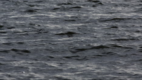 Calm-therapeutic-ocean-water-texture-with-gentle-windy-ripples-on-surface