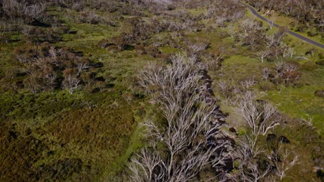 Landscape-With-Trees-And-Mountains-In-Kosciuszko-National-Park,-New-South-Wales,-Australia---Aerial-Drone-Shot