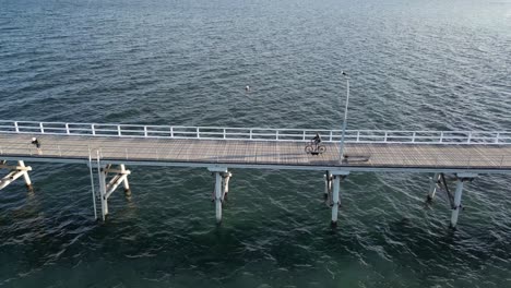 Persona-En-Bicicleta-Con-Perro-Atado-Sobre-Un-Puente-En-El-Océano-Durante-La-Puesta-De-Sol