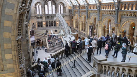 People-Upstairs-At-Hintze-Hall-Of-Natural-History-Museum-With-Blue-Whale-Skeleton-In-Display